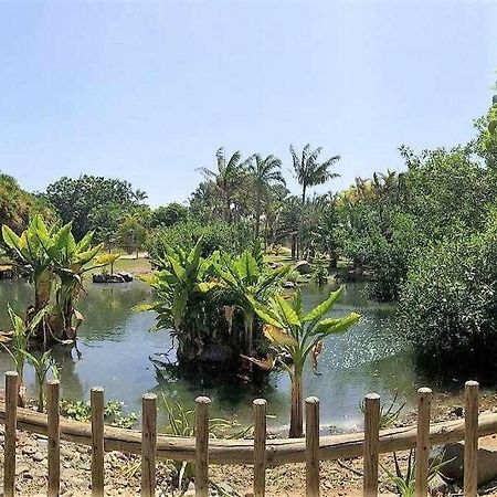 Luxury Flat In Santa Cruz Apartment Bagian luar foto
